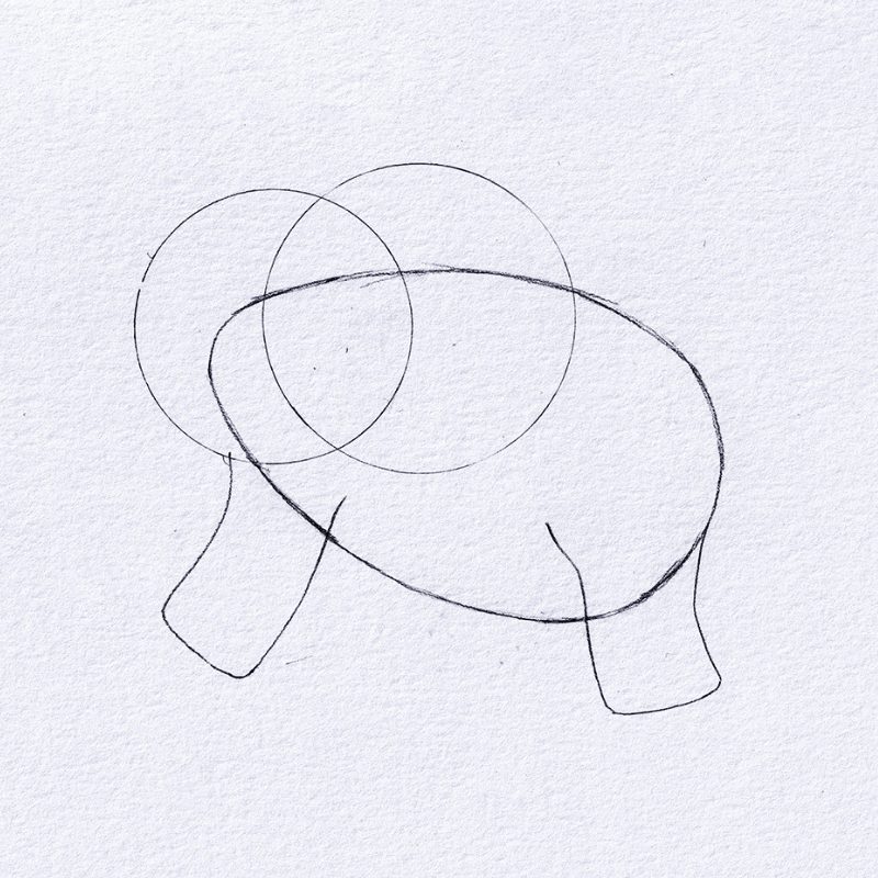 Step 3 - How To Draw An Elephant