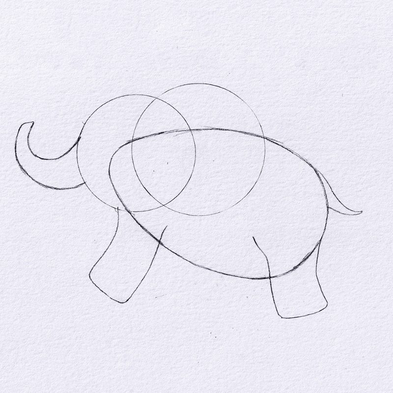 Step 4 - How To Draw An Elephant