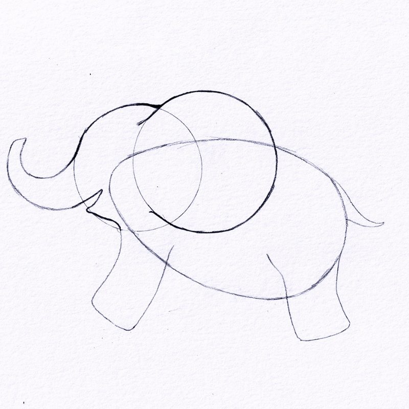 Step 5 - How To Draw An Elephant