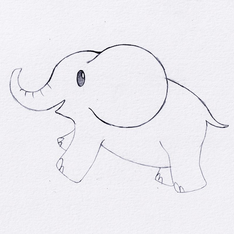 Step 7 - How To Draw An Elephant