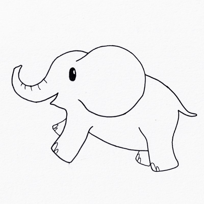 Step 8 - How To Draw An Elephant