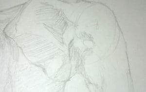 Elephant Drawing Step 4