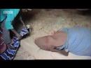 emotivos_momentos_con_un_elefante_video