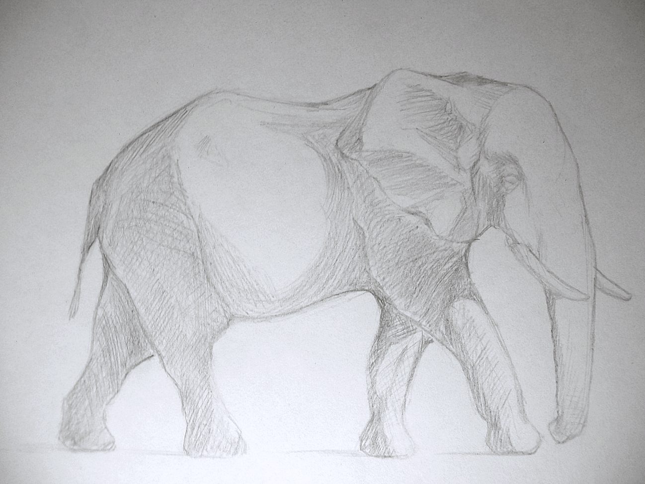 Very Easy Elephant Drawing | How to Draw an Elephant 🐘 - YouTube-saigonsouth.com.vn