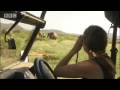 elefante_de_un_día_de_nacido__video