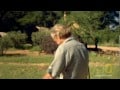 salvando_a_los_elefantes_del_peligro_video